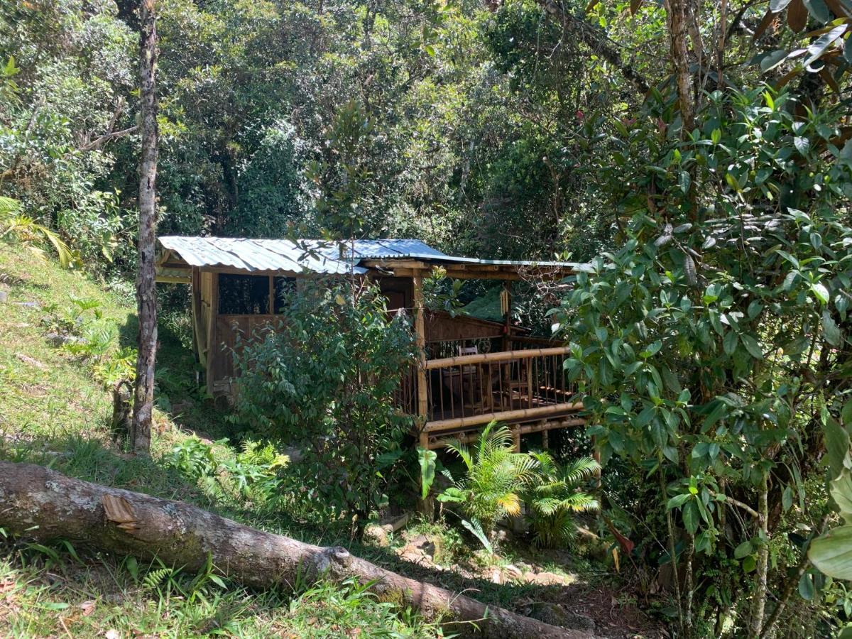 La Casa De Loto Retreat Guatapé 외부 사진